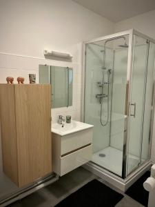a bathroom with a glass shower and a sink at Le Domaine du Castel in Saulzoir
