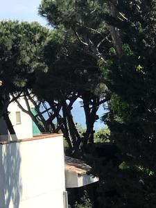 un grupo de árboles frente a una casa en Beach apartment 2 terraces with parking, en Castelldefels