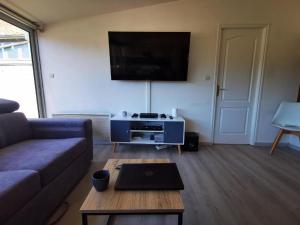 ein Wohnzimmer mit Couch und Flachbildfernseher in der Unterkunft Aux portes de Chambord in Dhuizon