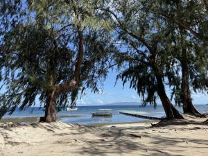 a picnic table on the beach near the water at Shanti Farm Bamboo Cabin in Panglao Island