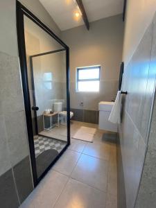 a bathroom with a shower and a toilet and a mirror at Lagoon Views Luxury Apartment Langebaan in Langebaan