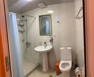 Vannituba majutusasutuses Guest House Balda