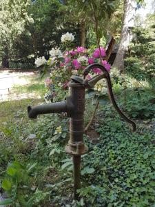 einen Gartenhahn mit Blumenarrangement darauf in der Unterkunft "Am Prerow Strom" in Prerow