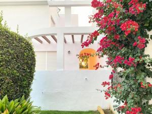 Vonkajšia záhrada v ubytovaní CASA PARAISO DEL SUR - Gran casa independiente de Lujo con amplias terrazas