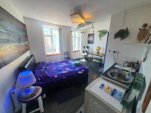 Kuchyň nebo kuchyňský kout v ubytování Cyber-Art studio in Camden