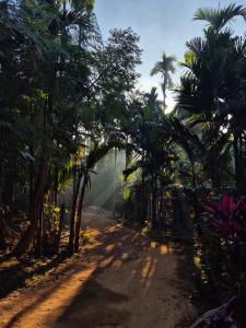 a dirt road with palm trees and an archway at SafarnamaStays Homestay & Camping Warichora Meghalaya in Bāghamāra +24 photos