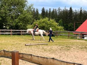 Hostia v ubytovaní Rancho Panderoza