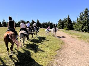 Zvieratá v ubytovaní bed & breakfast alebo blízkom okolí