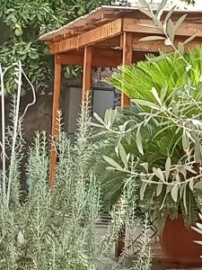A garden outside L'attico di Val.