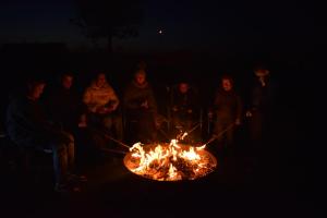 Gallery image of DE MEIBOOM vakantiehoeve tot 21 pers in Langemark