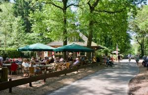 Eine Gruppe von Menschen sitzt an Tischen in einem Park in der Unterkunft Cozy Tiny Houses in Oisterwijkse Bossen & Vennen in Moergestel