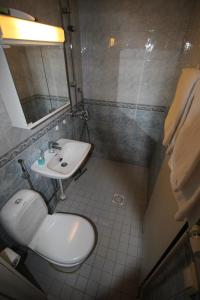 a bathroom with a sink and a toilet and a mirror at Hotel Aakenus Studio Valta in Rovaniemi