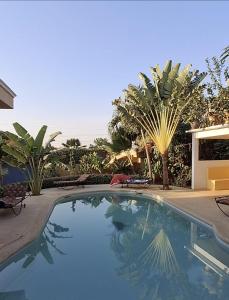a large swimming pool in a yard with palm trees at Villa No Stress in Somone