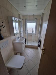 a bathroom with a toilet and a sink and a shower at FeWoaufdemAdenberg in Goslar