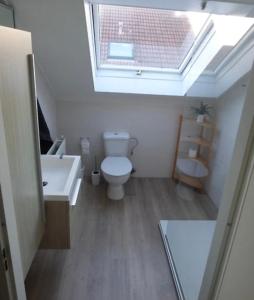 a bathroom with a toilet and a sink and a skylight at Ferienhaus Fridolin Fort Soleil 27, Breskens Zeeland in Breskens