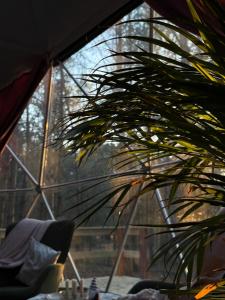 Zahrada ubytování Kamieńczyk Glamp - pod Warszawą