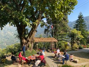 a group of people sitting at tables under a tree at Shangdhan Pine Homestay in Sāmthar