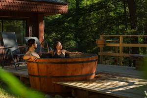 Hosté ubytování Hotel y Termas Huife