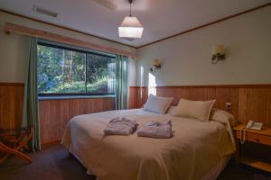 Postel nebo postele na pokoji v ubytování Hotel y Termas Huife