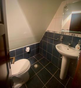 a bathroom with a toilet and a sink at Apartman Zlatarske Čari in Nova Varoš +34 photos