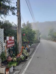 a shop with flowers on the side of a road at บ้านอังกาบ Aungkab homestay in Ban Muang Len