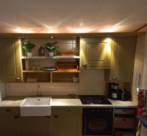 een keuken met groene kasten, een wastafel en een fornuis bij Chalet Bosrust in Lanaken