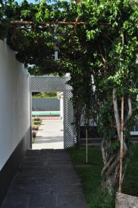 Κήπος έξω από το Quinta da Fonte - Alojamento Local +5 φωτογραφίες