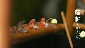 Fotografie z fotogalerie ubytování 杉ー着物の宿 v Kjótu