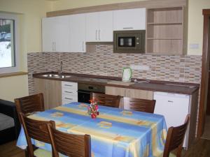 Kuchyňa alebo kuchynka v ubytovaní Apartment U Sedláčků