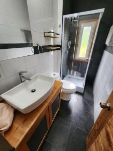 a bathroom with a white sink and a toilet at Refugio Familiar in Choshuenco +10 photos