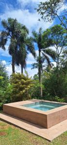 una piscina in un parco con palme di Tranquilidade e SPA em meio a muito verde a 45 min de SP a Cotia