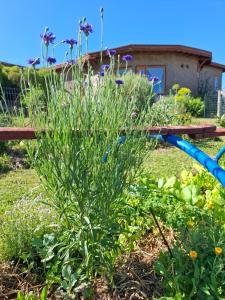 Billede fra billedgalleriet på Terra Cristal - Ágata i Piriápolis + 12 billeder