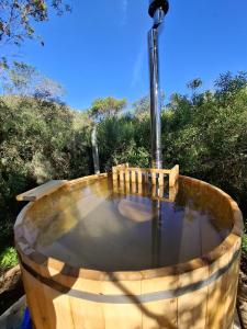 Billede fra billedgalleriet på Terra Cristal - Ágata i Piriápolis