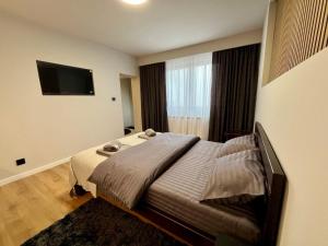 Surčin Grape Vine Apartments客房内的一张或多张床位