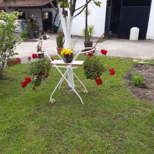 Surčin Grape Vine Apartments外面的花园