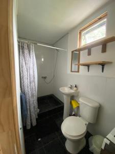 拉恩塞纳达Tiny house Peumayen的带马桶和水槽的小浴室