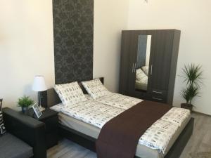 una camera con letto, cassettiera e specchio di Central Luxury Residence a Budapest
