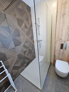 a bathroom with a shower and a toilet at Apartament Vici nad jeziorem Nyskim in Skorochów +15 photos