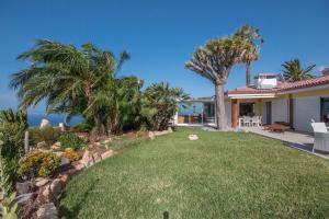 a yard with palm trees and a house at Casita Salpino in Sauzal