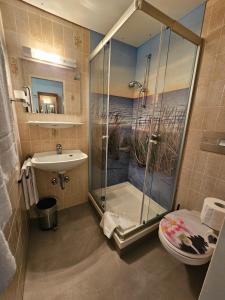 a bathroom with a shower and a toilet and a sink at Hotel & Restaurant Krone in Rehau +55 photos