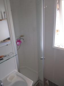 a bathroom with a shower and a toilet at Mobil Home tout confort 6 a 8 personnes Aux Charmettes in Les Mathes