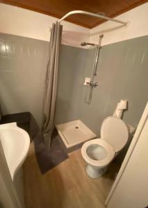 a bathroom with a shower and a toilet and a sink at La Halte de Massiac 1er étage in Massiac