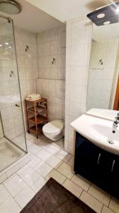 a bathroom with a toilet and a sink and a shower at Ferienwohnung Auer in Tulwitzdorf