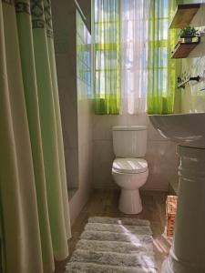 a bathroom with a green shower curtain and a toilet at Essence Country Apartments in Choiseul