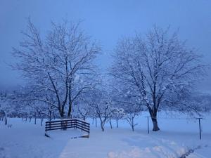 a park covered in snow with trees and a bench at Apartman PLUM PLITVICE in Drežnik Grad