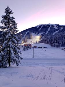 eine schneebedeckte Skipiste mit einem Baum im Vordergrund in der Unterkunft Oaza1 in Trnovo