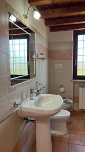 a bathroom with a sink and a toilet and a mirror at La tana dei Ricci in Fiano Romano +18 photos