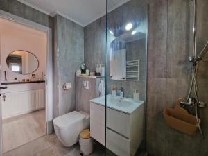 Un baño con inodoro, lavabo y ducha. en Elite Apartment Onesti, en Onești 27 fotos más