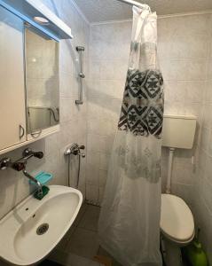 a bathroom with a sink and a shower curtain at Apartmani Tara Vila Isidora in Bajina Bašta +21 photos