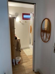 a hallway with a mirror and a door with a hallway at Appartement cosy avec garage in Le Tampon
